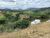 Fazenda, 242 hectares - Foto 1