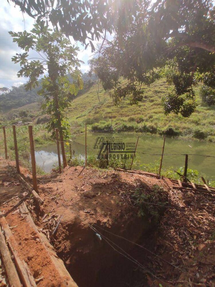 Sítio, 29 hectares - Foto 13