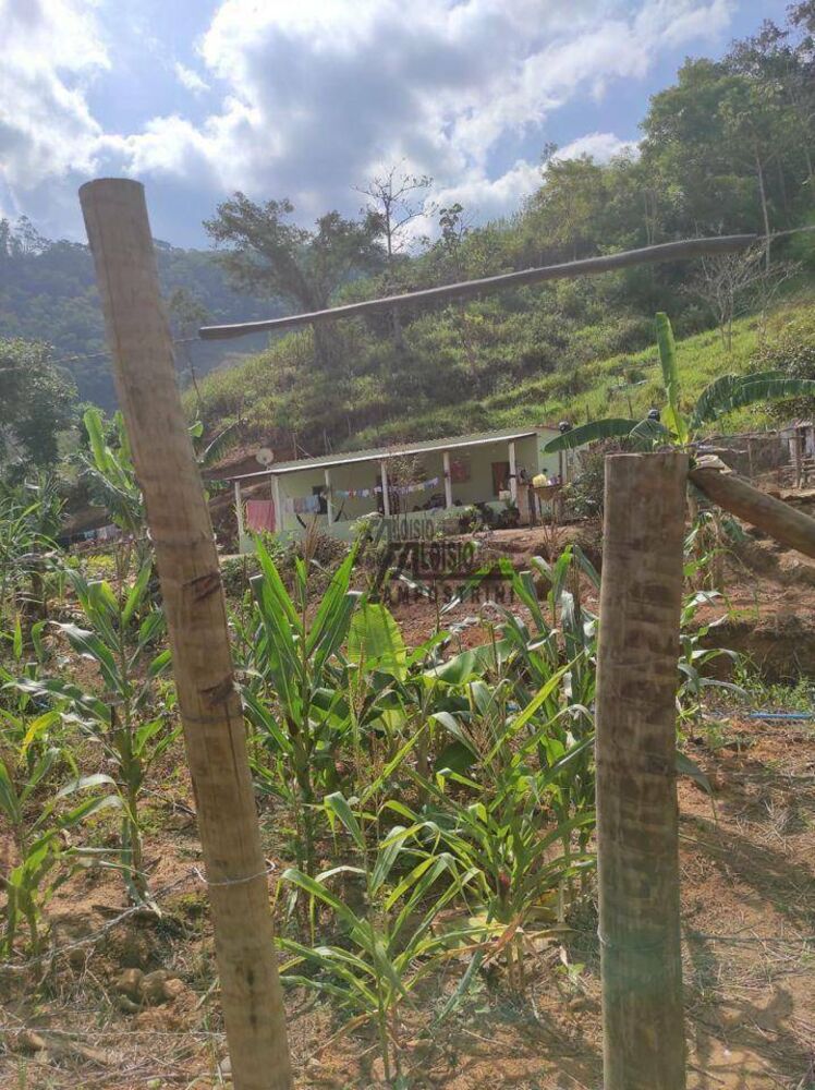 Sítio, 29 hectares - Foto 16