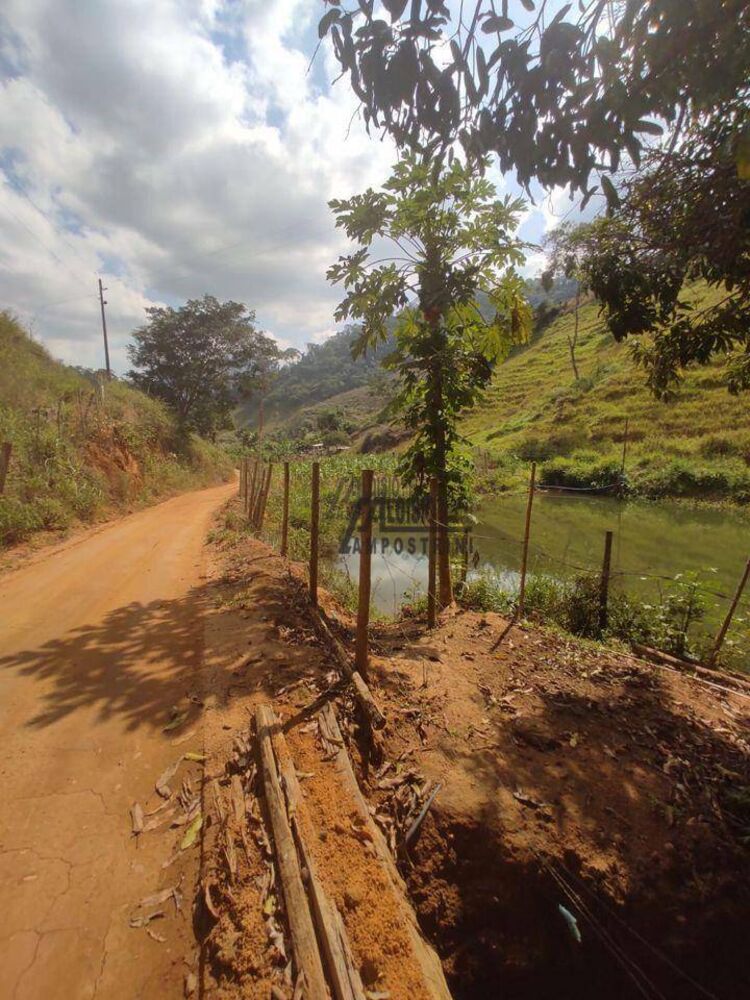 Sítio, 29 hectares - Foto 14