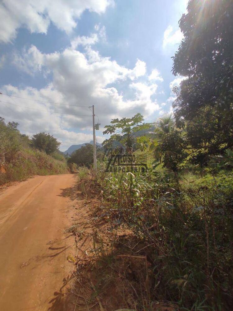 Sítio, 29 hectares - Foto 19