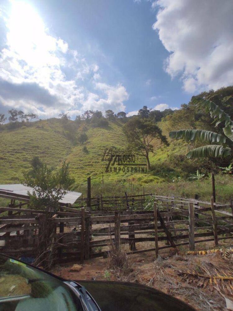 Sítio, 29 hectares - Foto 21