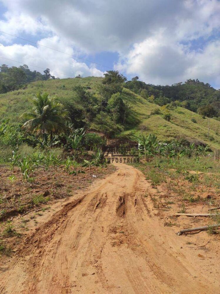 Sítio, 29 hectares - Foto 10