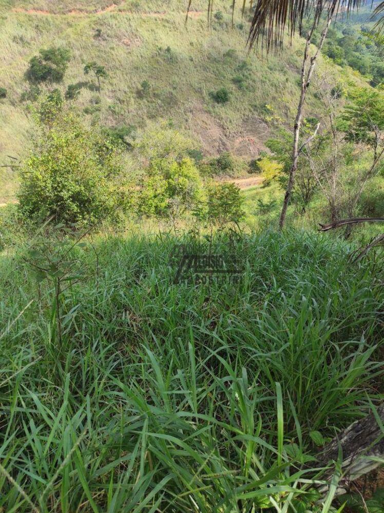 Sítio, 29 hectares - Foto 2