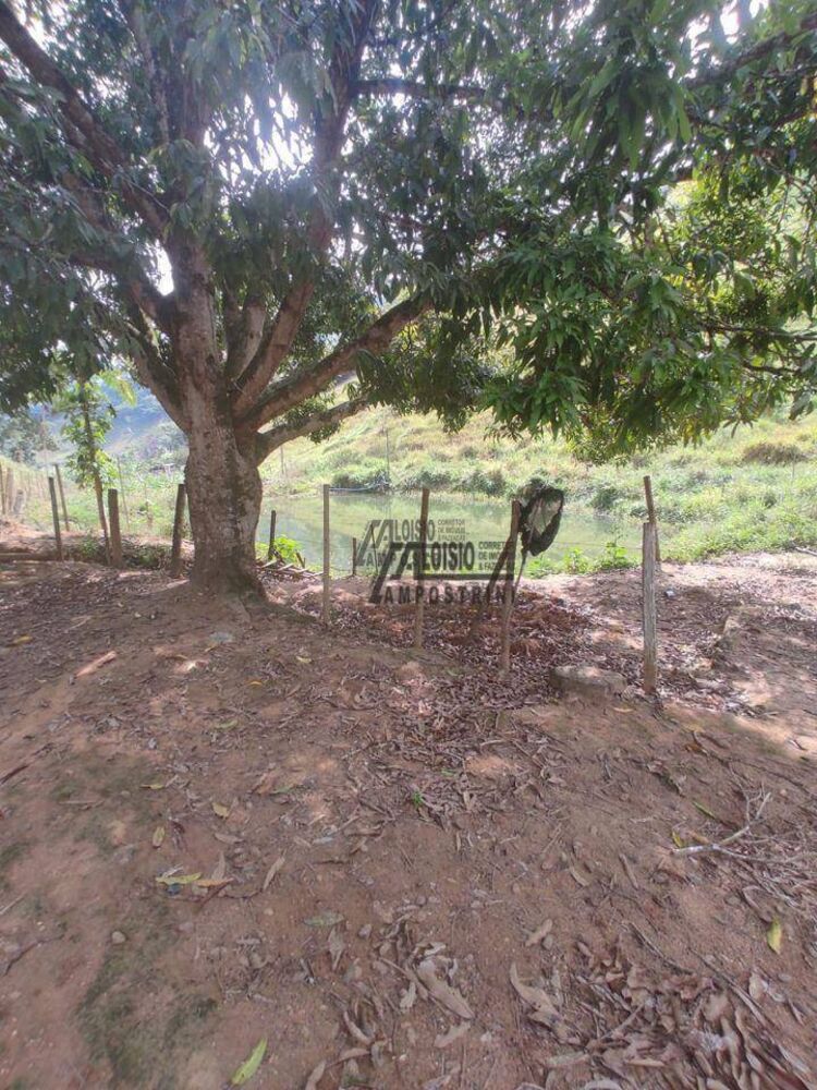 Sítio, 29 hectares - Foto 15