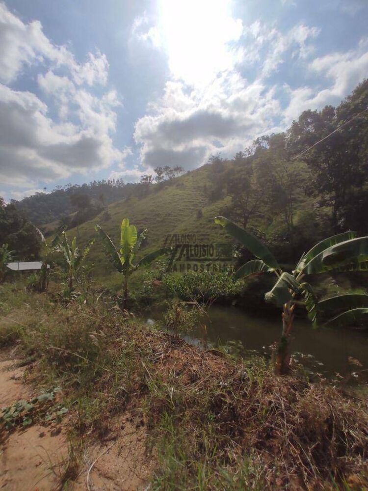 Sítio, 29 hectares - Foto 17