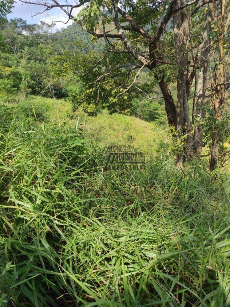 Sítio, 29 hectares - Foto 4