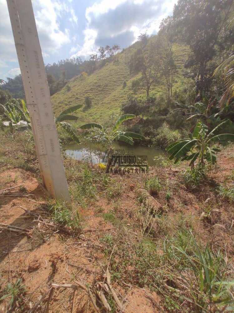 Sítio, 29 hectares - Foto 20