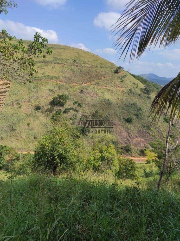 Sítio, 29 hectares - Foto 3