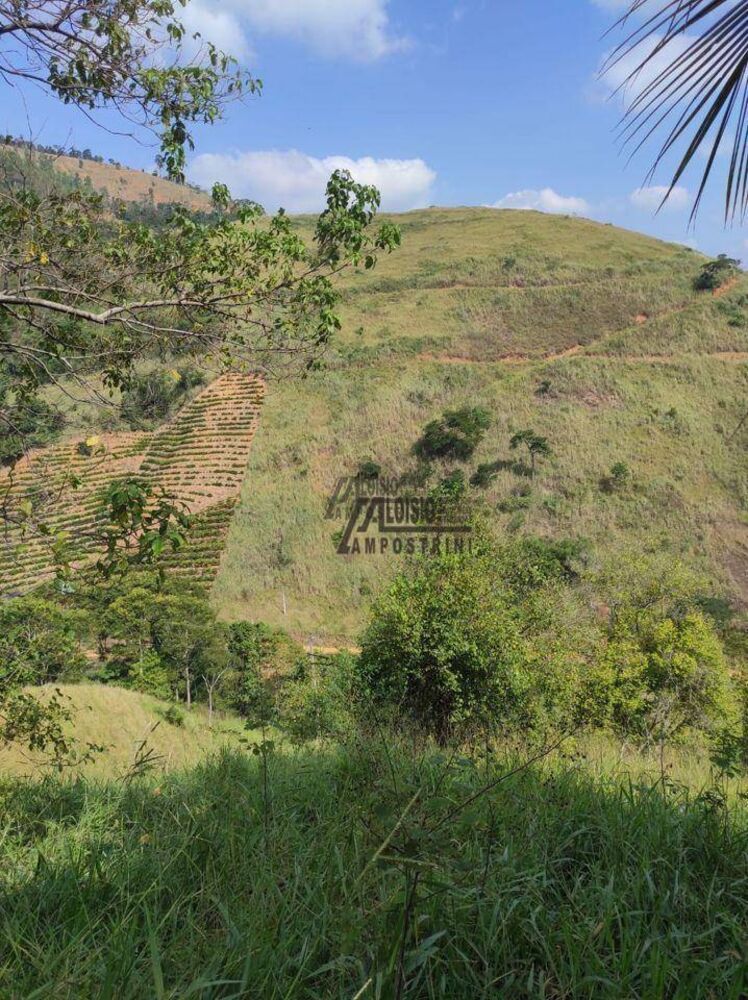 Sítio, 29 hectares - Foto 5