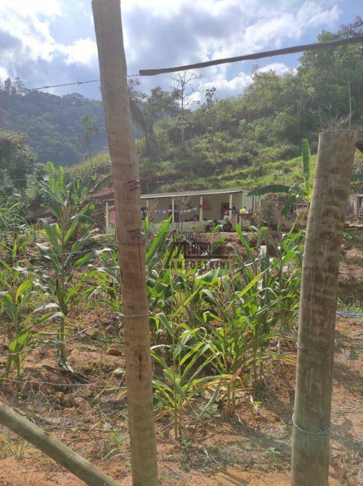 Sítio, 29 hectares - Foto 12