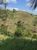 Sítio, 29 hectares - Foto 1