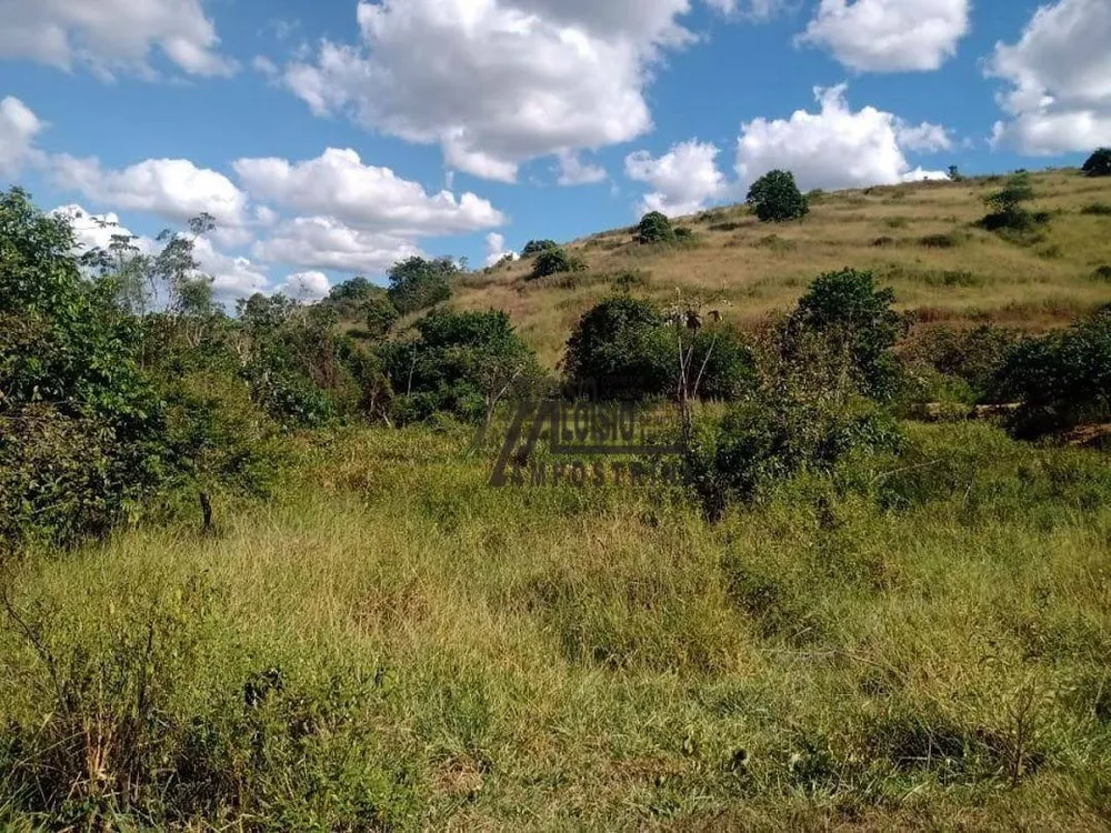 Sítio, 24 hectares - Foto 2