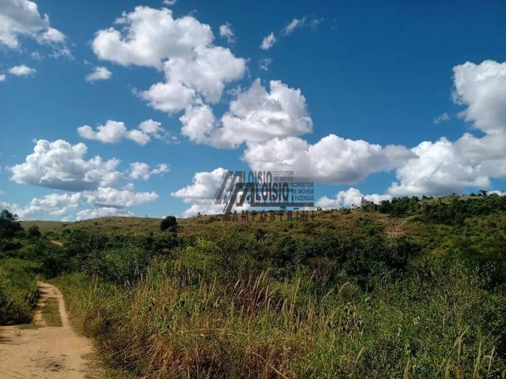 Sítio, 24 hectares - Foto 4