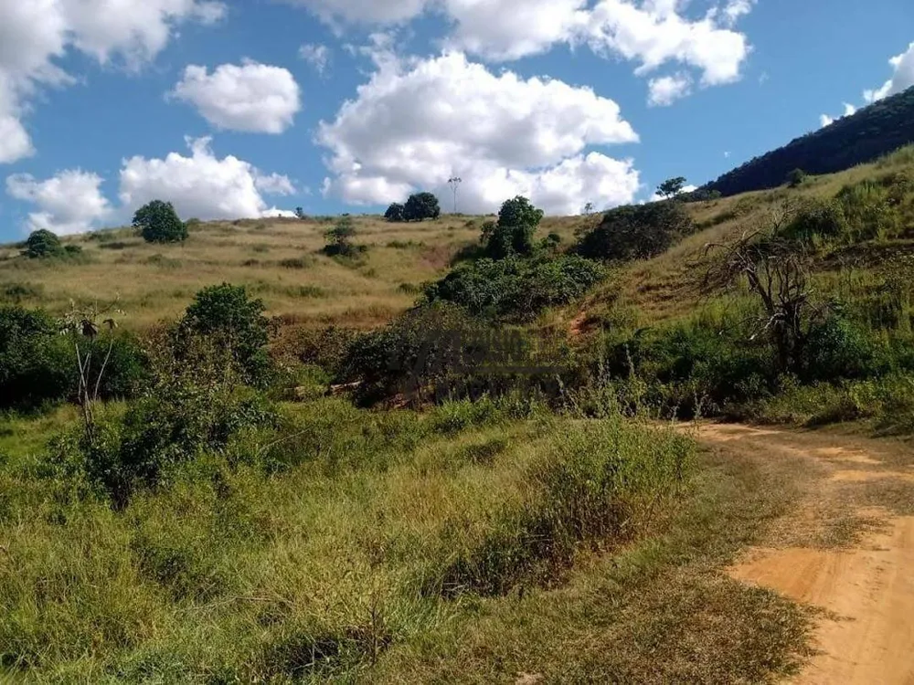 Sítio, 24 hectares - Foto 3