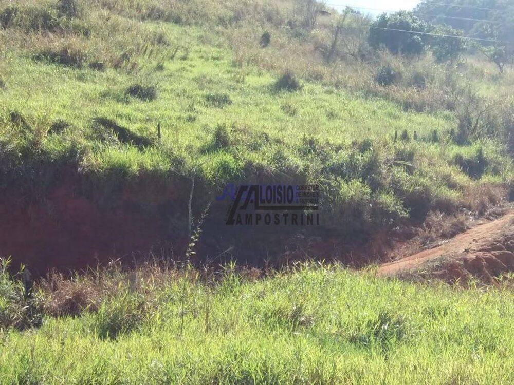 Terreno, 5 hectares - Foto 3