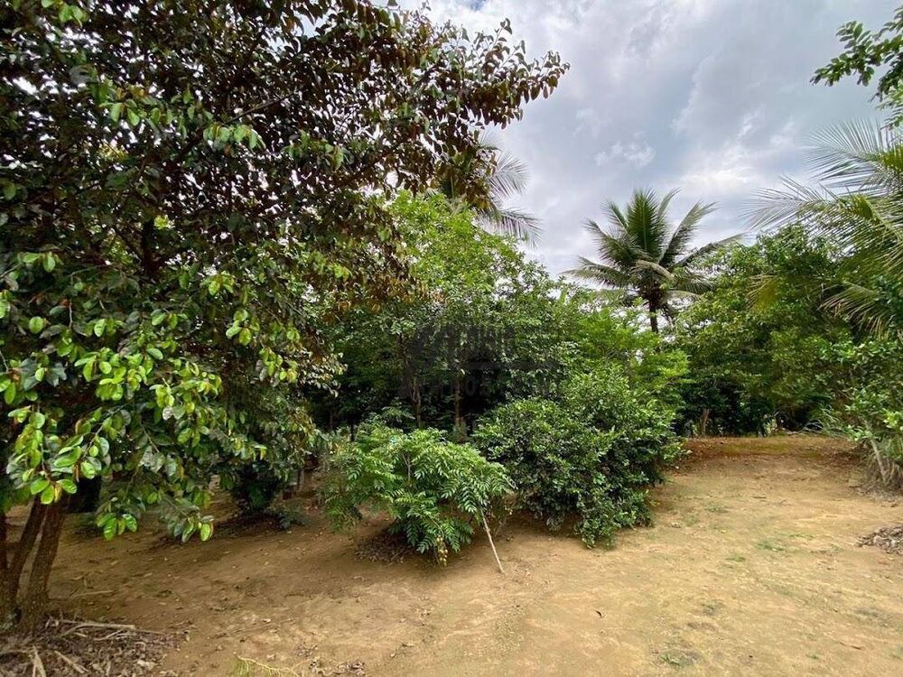 Sítio à venda, 25000M2 - Foto 14