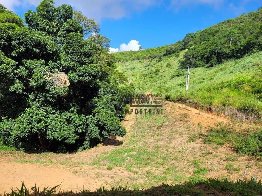 Sítio, 10 hectares - Foto 4
