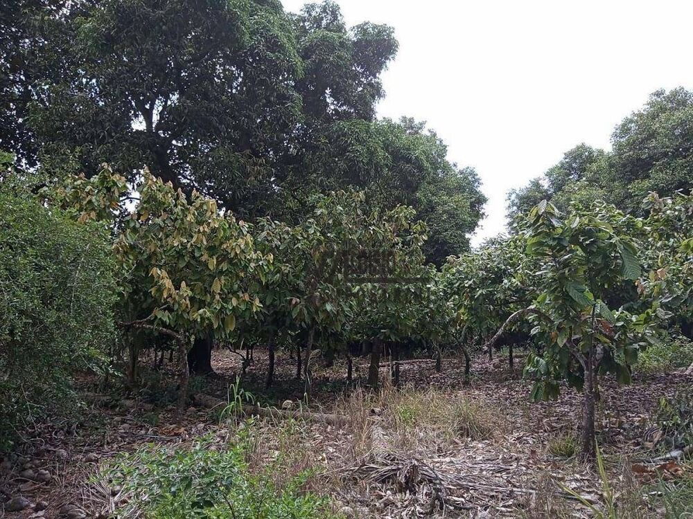 Sítio, 3 m² - Foto 9