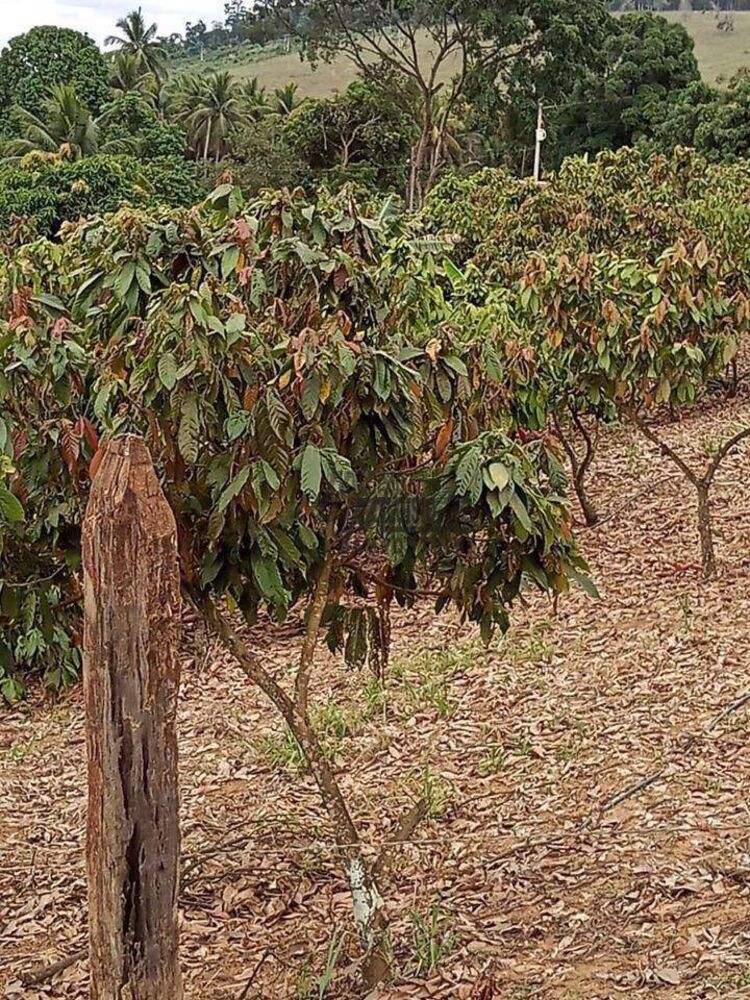 Sítio, 3 m² - Foto 21