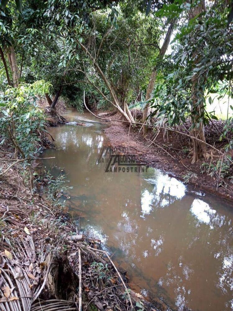 Sítio, 3 m² - Foto 10