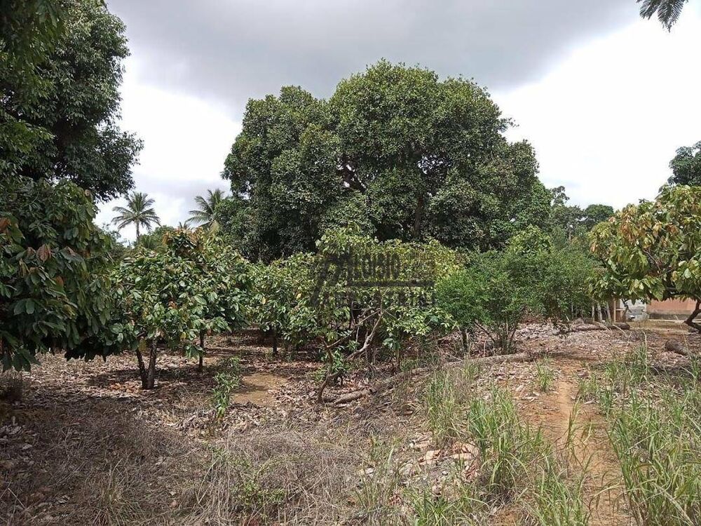 Sítio, 3 m² - Foto 6