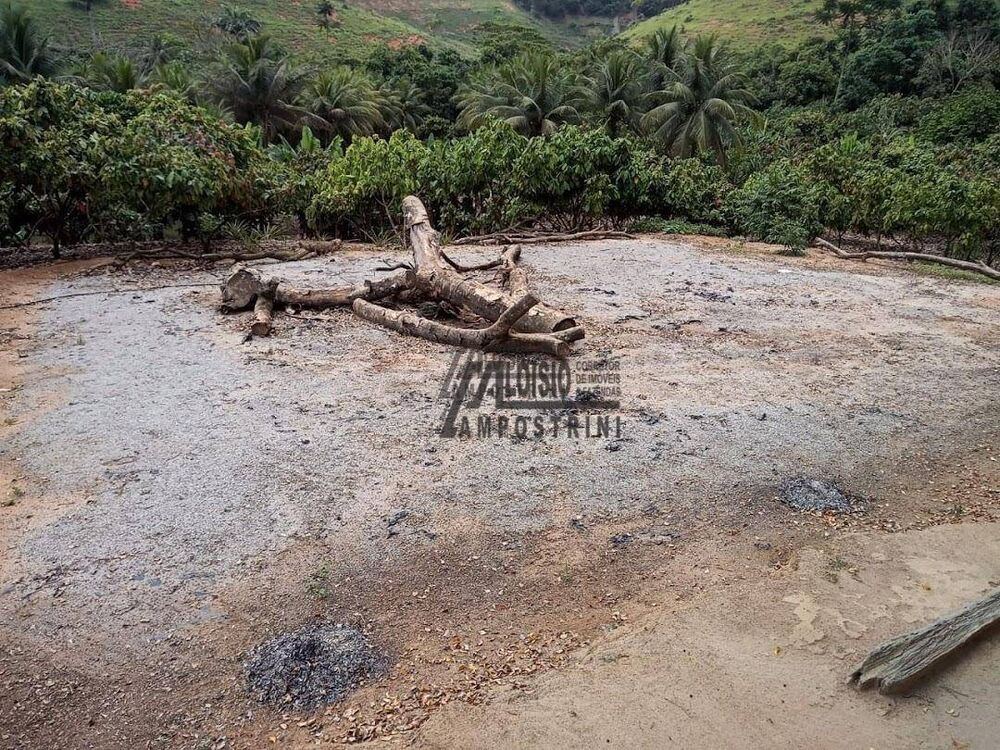 Sítio, 3 m² - Foto 13