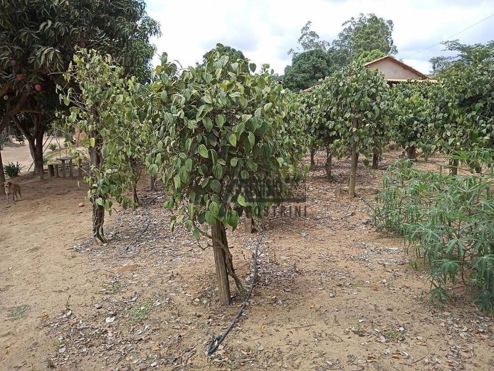 Sítio, 3 m² - Foto 12