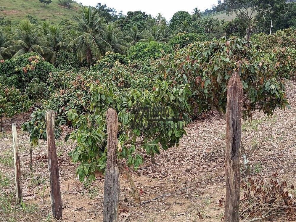 Sítio, 3 m² - Foto 20