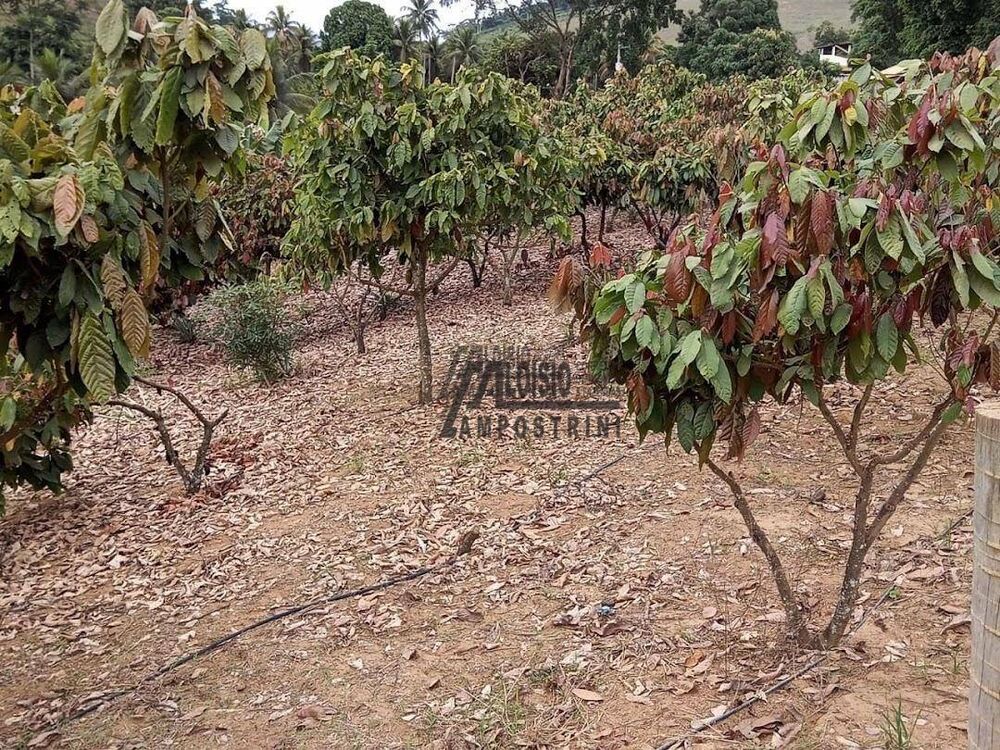 Sítio, 3 m² - Foto 19