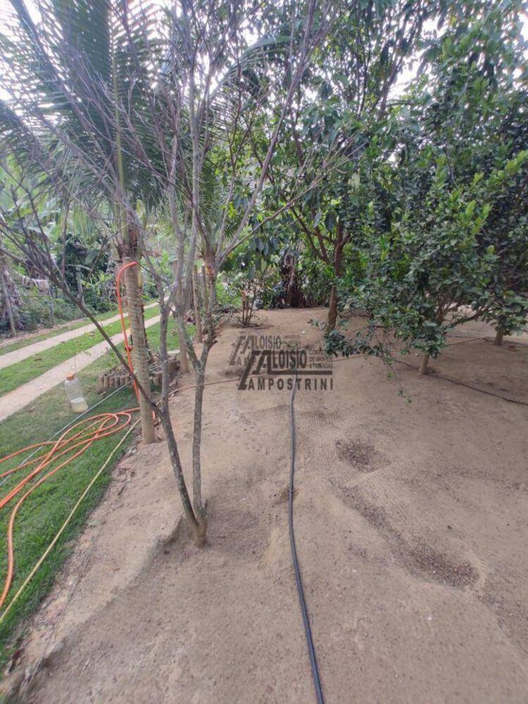 Sítio, 3 hectares - Foto 3