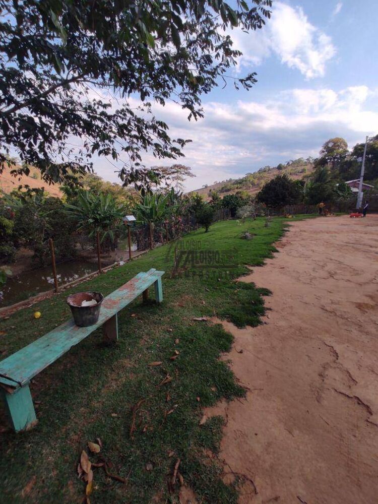 Sítio, 3 hectares - Foto 16