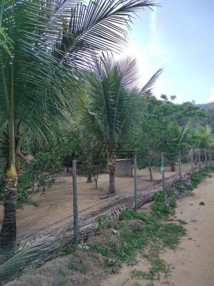 Sítio, 3 hectares - Foto 21