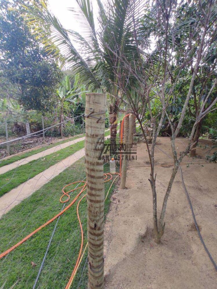 Sítio, 3 hectares - Foto 2