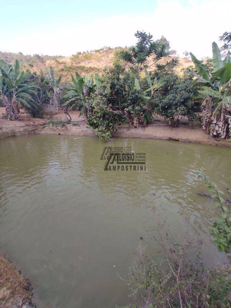 Sítio, 3 hectares - Foto 1