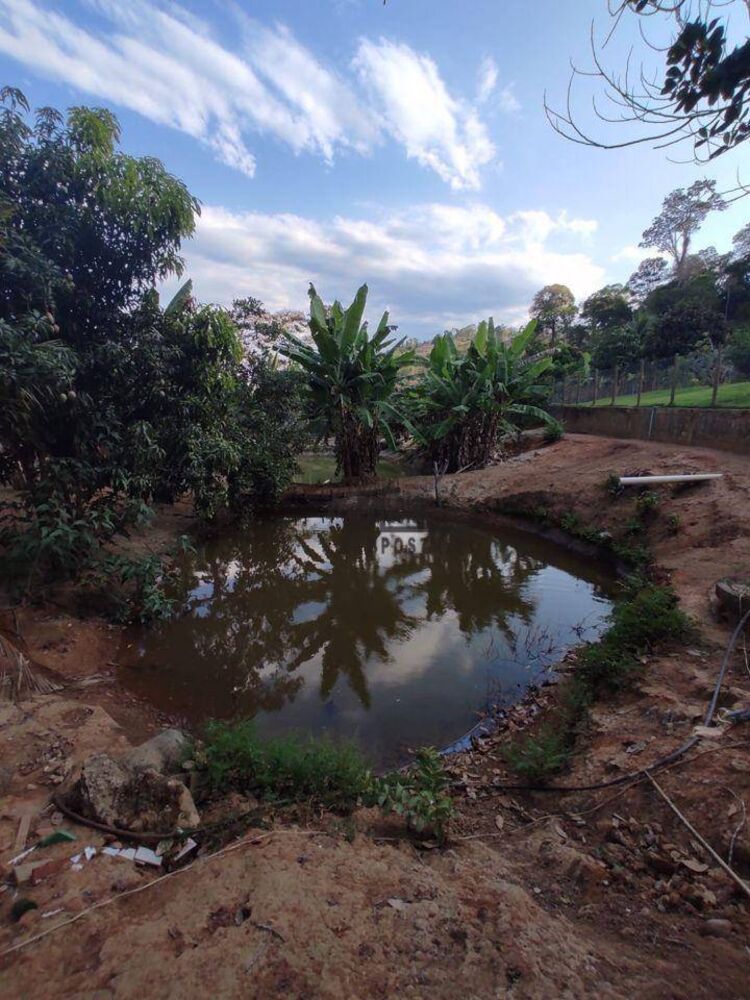 Sítio, 3 hectares - Foto 11