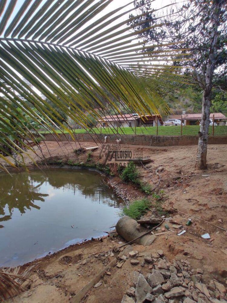 Sítio, 3 hectares - Foto 12