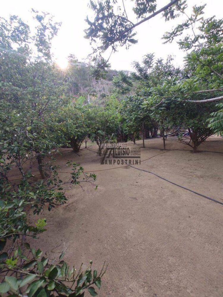 Sítio, 3 hectares - Foto 5