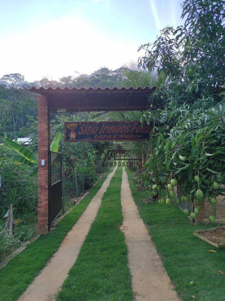 Sítio, 3 hectares - Foto 26