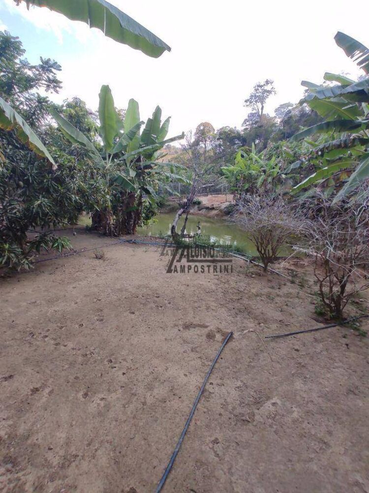 Sítio, 3 hectares - Foto 9