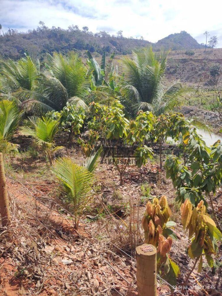 Chácara, 8000 m² - Foto 2