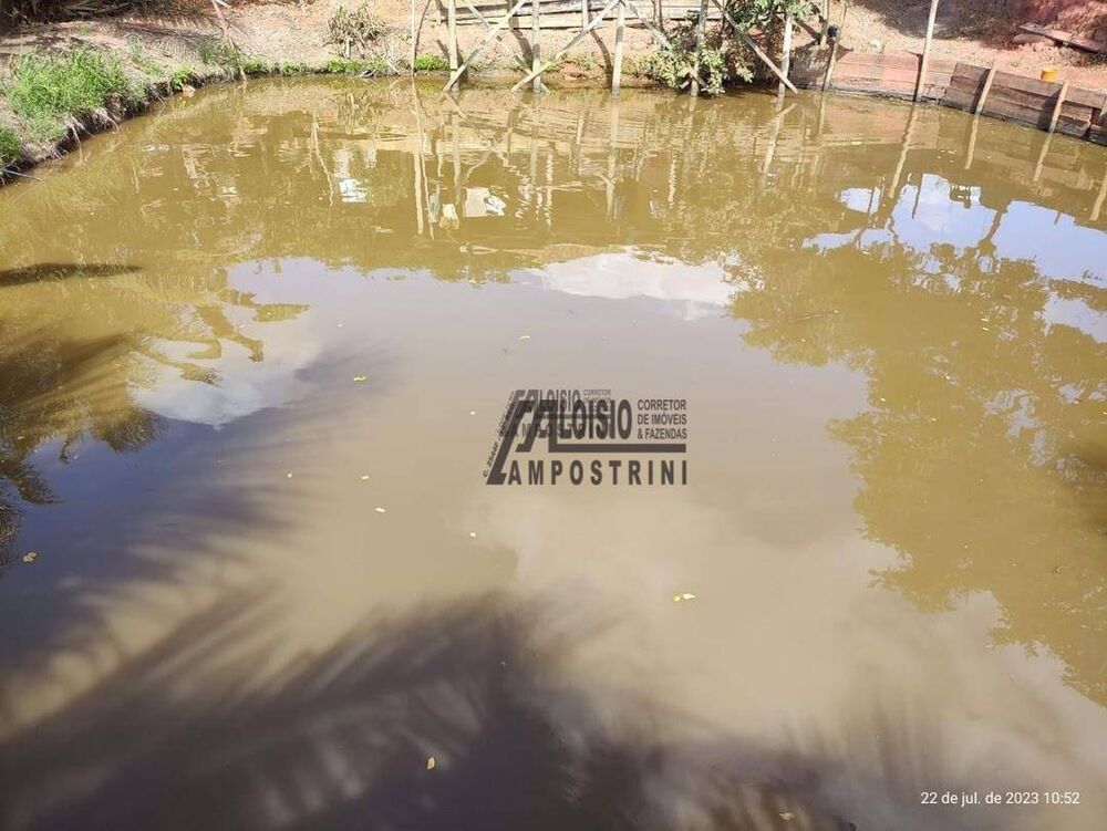 Chácara, 8000 m² - Foto 8