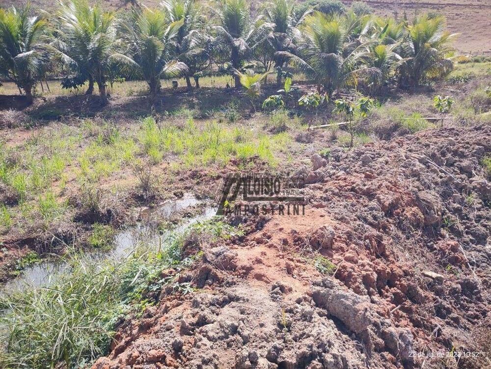 Chácara, 8000 m² - Foto 10