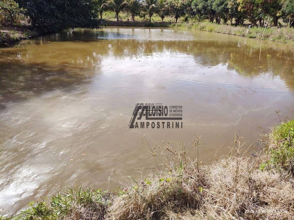 Chácara, 8000 m² - Foto 7