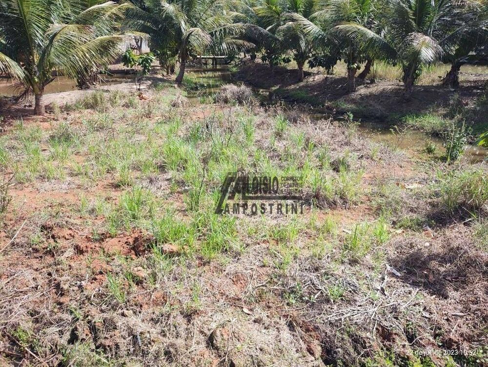 Chácara, 8000 m² - Foto 9