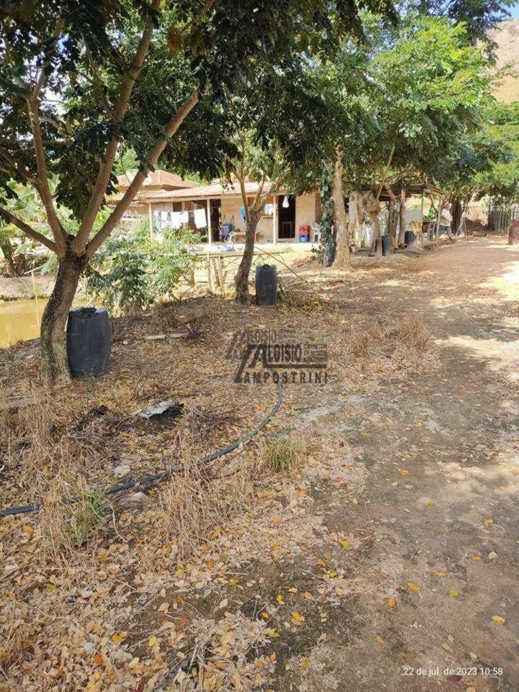 Chácara, 8000 m² - Foto 5