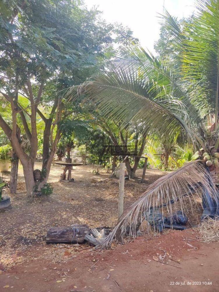 Chácara, 8000 m² - Foto 4