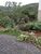Terreno, 300 m² - Foto 1