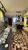 Apartamento, 2 quartos, 51 m² - Foto 5