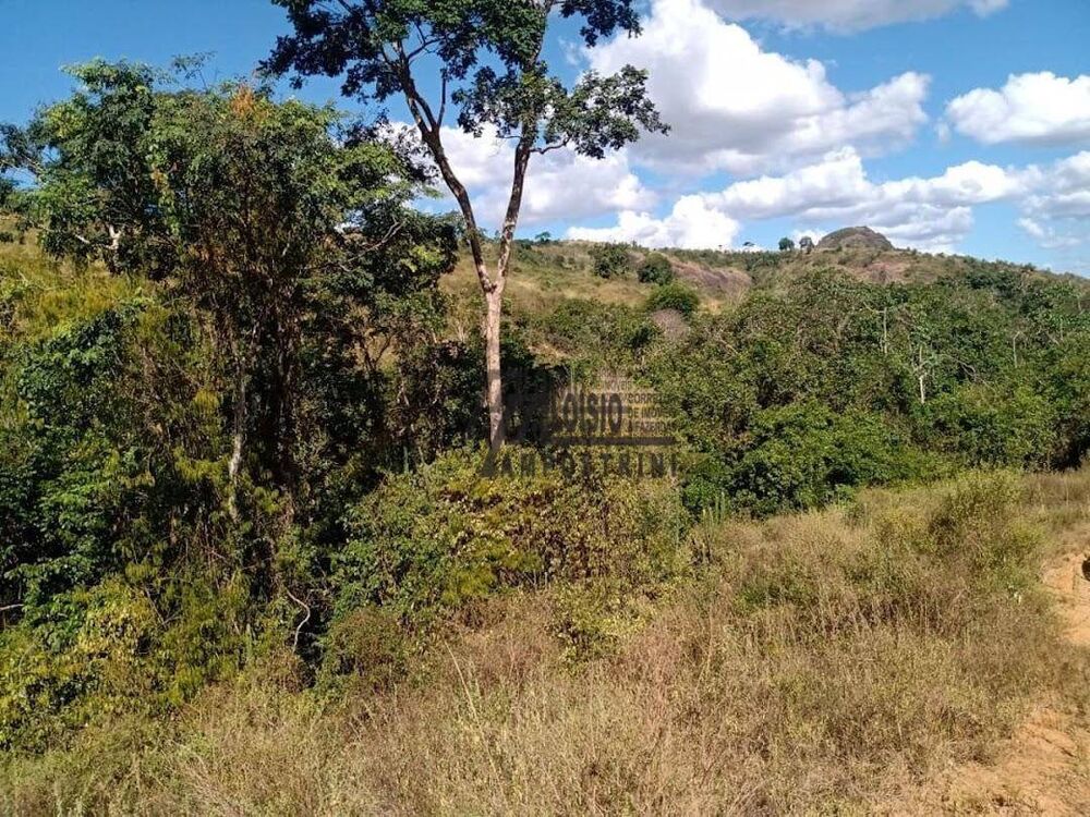 Sítio, 48 hectares - Foto 2